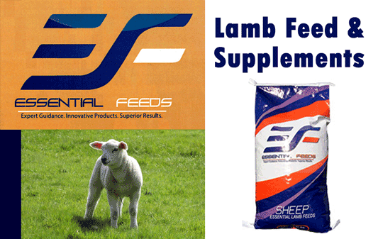 Essential Feeds lamb feed and supplements