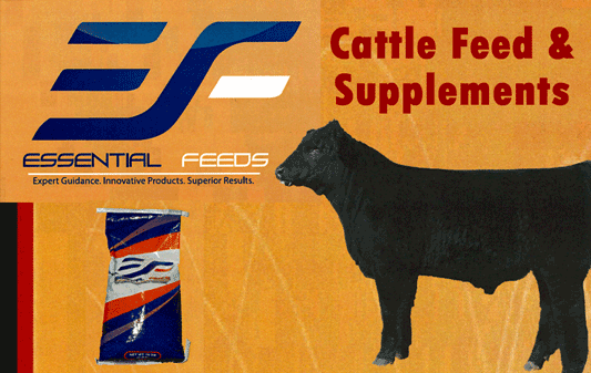 Essential Show Feeds - Cattle Feed and Supplements