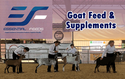 Essential Feeds for Goats