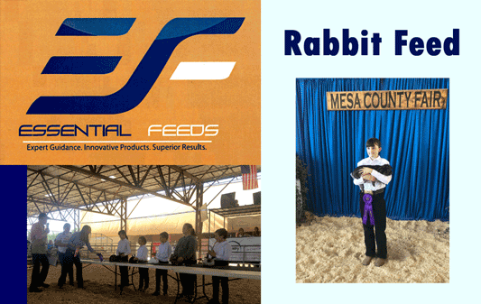 Professional and Show Rabbit Feeds